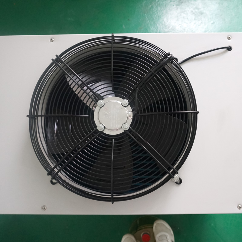 3p (11)_1-.jpg